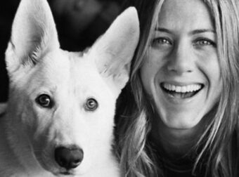 «Περιστοιχισμένη από ολόκληρη την οικογένειά της»: Το αντίο του Θερού & της Άνιστον στον σκύλο τους