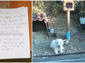 Απίστευτα Πράγματα στη Ναύπακτο: Εκλεψαν τον σύγχρονο Χάτσικο και Αφησαν Σημείωμα: «Γεια σας, το σκυλάκι το πήραμε μαζί μας.