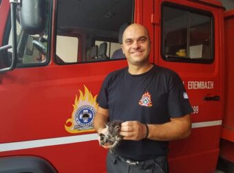 Σέρρες: Πυροσβέστες έσωσαν το γατάκι που βρέθηκε εγκλωβισμένο σε φρεάτιο και κινδύνευε από πνιγμό