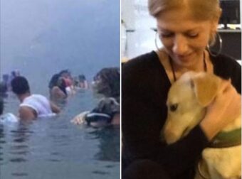 Μάτι: Συγκινεί Ξυπνώντας Μνήμες Η κυρία που Κρατούσε Αγκαλιά το Σκυλάκι της μέσα στη θάλασσα, σήμερα. «Η αγάπη σώζει»