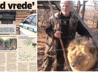 Η Εκδίκηση των Λιονταριών: Άνδρας Κρατούσε Αιχμάλωτα Λιοντάρια κι Εκείνα τον Κατασπάραξαν