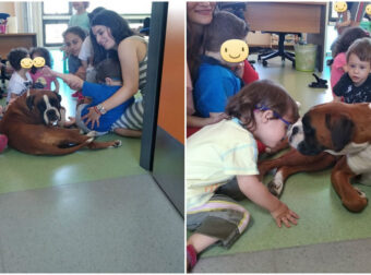ψυχούλες μου: Σκύλος θεραπείας επισκέφτηκε τα παιδάκια στην ΕΛΕΠΑΠ Αγρινίου και τους έδωσε αγάπη