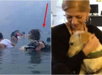 «Η αγάπη σώζει»: Η κυρία στο Μάτι με το σκυλάκι, ένα χρόνο μετά την τραγωδία. Έζησε όλον τον εφιάλτη στο Μάτι, πέρσι τέτοιες μέρες.