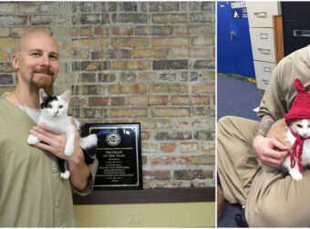 Τα ζώα μας κάνουν καλύτερους ανθρώπους: Φυλακή υιοθέτησε αδέσποτες γάτες και άλλαξε η ζωή των κρατουμένων