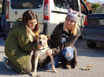 Υιοθετήθηκε ο σκυλάκος που βρέθηκε πριν από 5 χρόνια βάναυσα κακοποιημένος και σχεδόν τυφλός στις Σέρρες