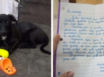 Αυτή η Γυναίκα έλαβε ένα Γράμμα. Όταν Άρχισε να το διαβάζει κατάλαβε ότι Ήταν για το Σκυλάκι της.