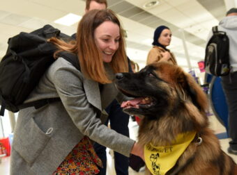 Αεροδρόμιο στη Βρετανία έχει σκύλους για να χαλαρώνουν όσους φοβούνται το αεροπλάνο
