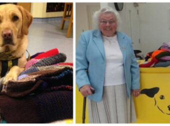 Μπράβο: 90 χρονη έφτιαξε 450 πουλόβερ και κουβέρτες για τα αδέσποτα σκυλάκια ενός καταφυγίου