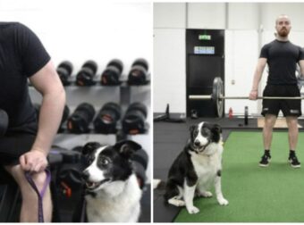 Γυμναστήριο στη Σκωτία σε Αφήνει να Κάνεις Γυμναστική Παρέα με το Σκύλο σου