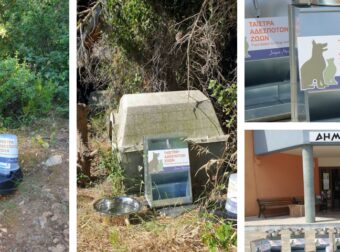 Δήμος Αλοννήσου: Έβαλε 30 νέες αυτόματες ταΐστρες – ποτίστρες για τα αδέσποτα