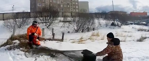 Σκύλος περίμενε δυο μήνες μόνος σε παγωμένο μέρος της Ρωσίας για να τον πάρει αυτός που τον άφησε
