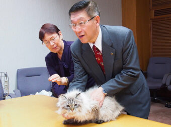 Σε καραντίνα έβαλε δήμαρχος μια πόλης στην Ιαπωνία το γάτο που του είχε χαρίσει ο Ρώσος πρόεδρος Βλαντίμιρ Πούτιν