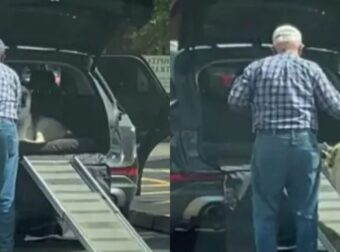 Δάκρυσε το Διαδίκτυο: Παππούς φτιάχνει ράμπα για να μπαίνει ο σκύλος στο αμάξι
