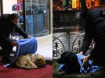 Παράδειγμα για μίμηση: Τούρκος οδοντίαστρος κάθε βράδυ σκεπάζει όλα τα αδέσποτα ζώα με κουβέρτες στους δρόμους της Κωνσταντινούπολης