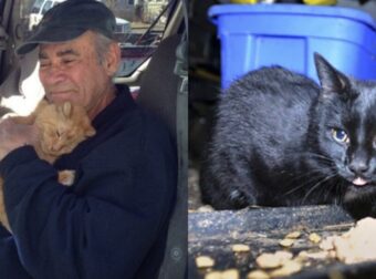 Απίστευτη Ιστορία: Άνδρας Πουλάει Παλιοσίδερα Εδώ Και 27 Χρόνια Για Να Ταΐζει Αδέσποτες Γάτες Κάθε Μέρα