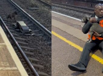 Εργαζόμενος σώζει απο βέβαια θάνατο σκύλο που είχε πέσει στις ράγες σιδηροδρομικού σταθμού και το διαδίκτυο χειροκροτά