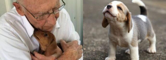 Κάνει το γύρο του διαδικτύου: Παππούς με το σκυλάκι του στέλνουν δυνατό μήνυμα αγάπης και συγκινούν