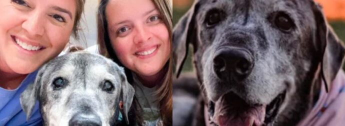19χρονη σκυλίτσα που της δόθηκε ένας μήνας ζωής, υιοθετήθηκε και απολαμβάνει κάθε μέρα